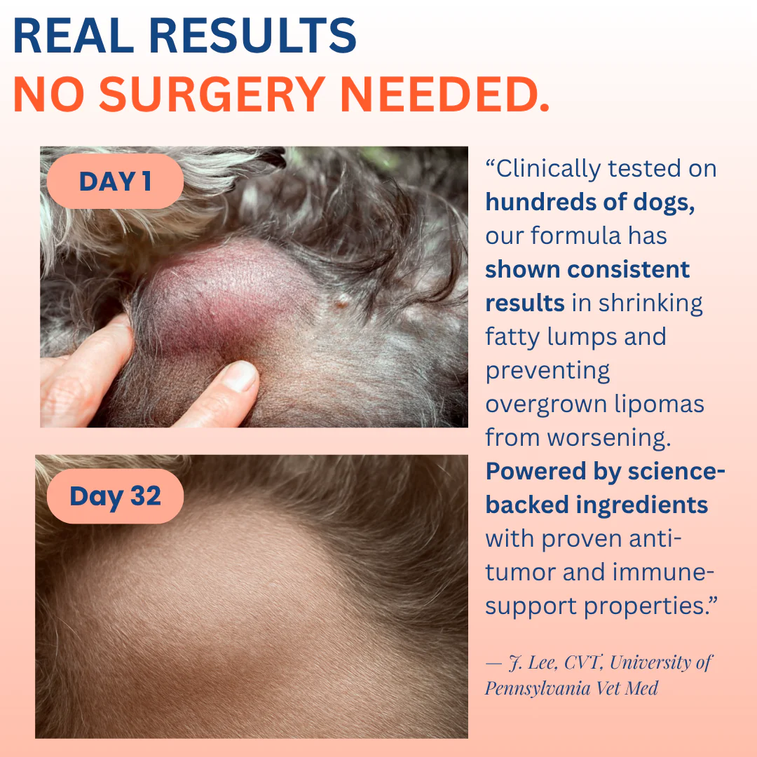 Turkey Tail Probiotic