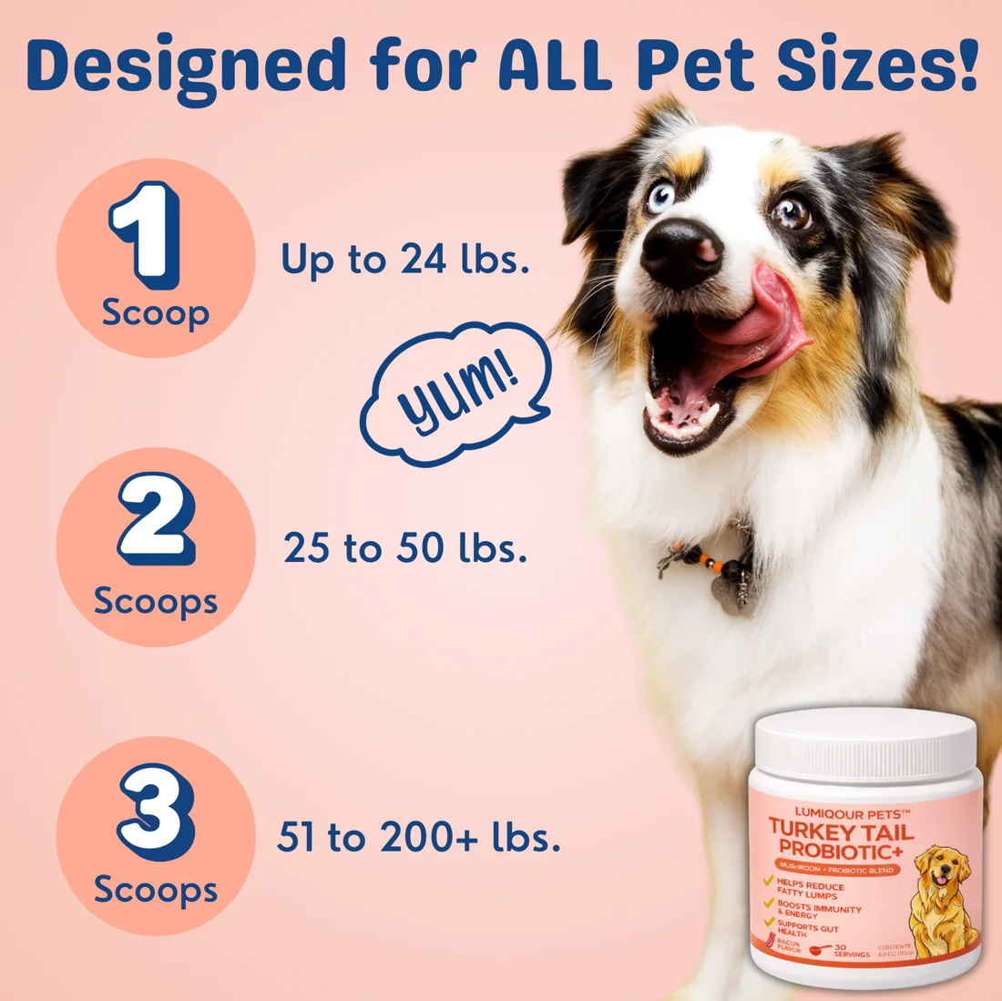 Turkey Tail Probiotic