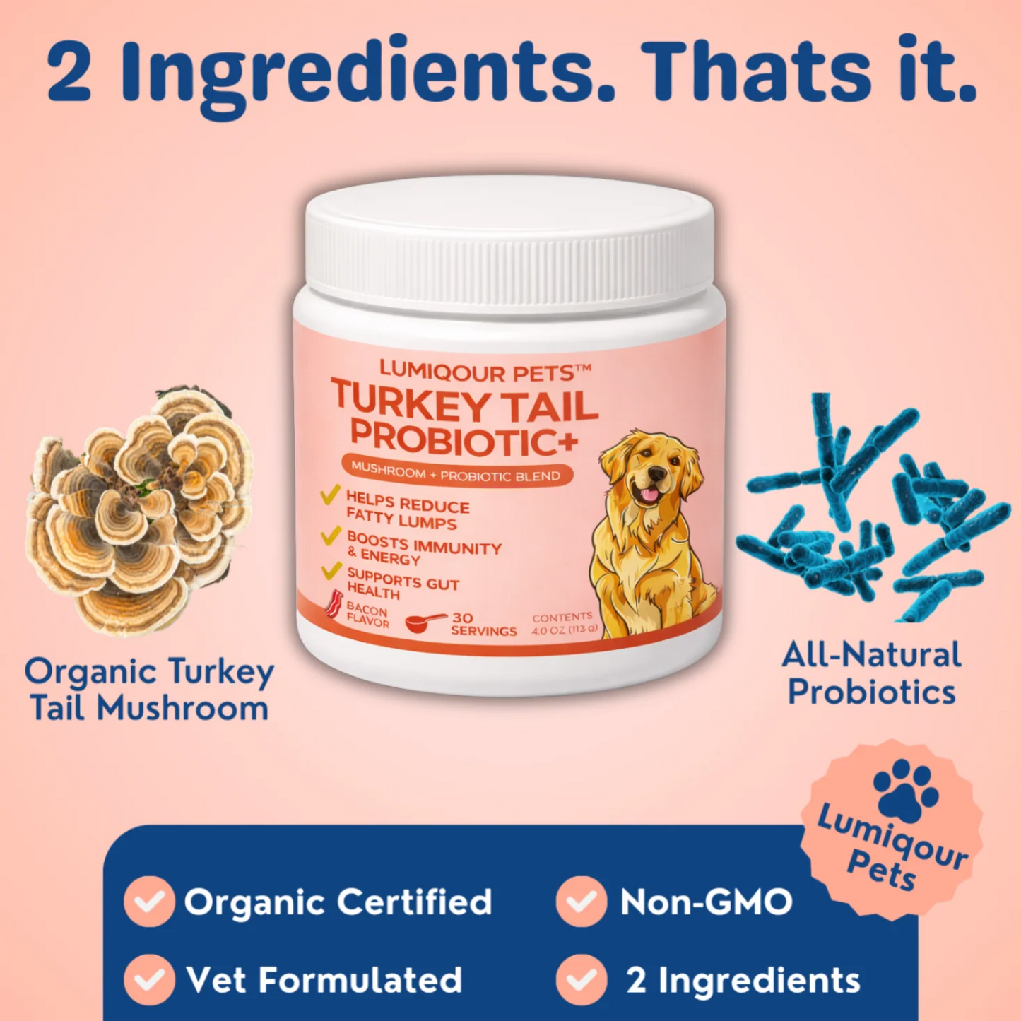 Turkey Tail Probiotic